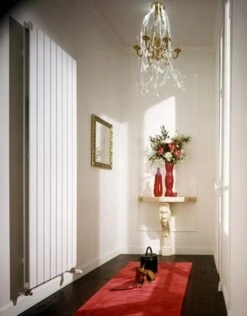 Aldes Heizung Magasin -Aldes Heizung Magasin 5114 z acova fassane vertical double shxd